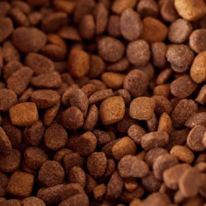 menu nature mélange hiver